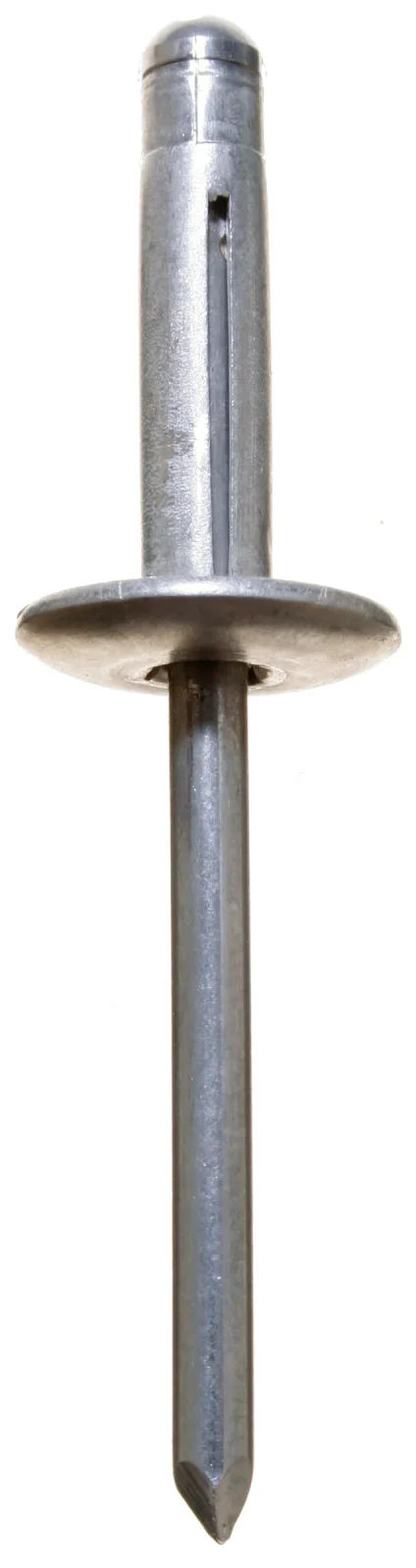 Or Bulb cabeça larga